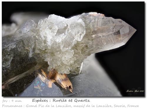 Rutile in/on Quartz<br />Grand Pic de la Lauzière, Macizo La Lauzière, Saint-Jean-de-Maurienne, Saboya, Auvergne-Rhône-Alpes, Francia<br />fov 9.0 mm<br /> (Author: ploum)