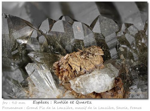 Rutile and Quartz<br />Grand Pic de la Lauzière, La Lauzière Massif, Saint-Jean-de-Maurienne, Savoie, Auvergne-Rhône-Alpes, France<br />fov 9.0 mm<br /> (Author: ploum)