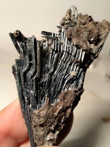 Stibnite<br />Mina Morone (Mina Selvena), Monte Amiata, Castell'Azzara, Provincia Grosseto, Toscana, Italia<br />71,5 x 40 mm<br /> (Author: Sante Celiberti)