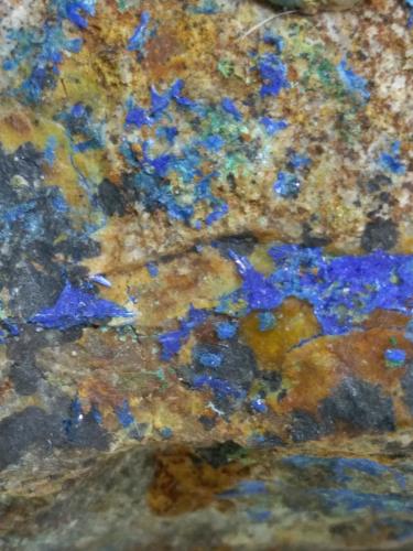Linarita<br />Serrabottini, Massa Marittima, Grosseto Province, Tuscany, Italy<br />50 x 35 mm<br /> (Autor: Sante Celiberti)