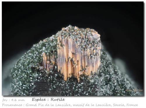 Rutile<br />Grand Pic de la Lauzière, La Lauzière Massif, Saint-Jean-de-Maurienne, Savoie, Auvergne-Rhône-Alpes, France<br />fov 4.6 mm<br /> (Author: ploum)