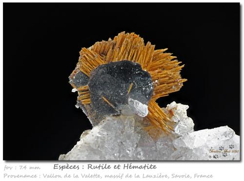 Rutile and Hematite<br />Grand Pic de la Lauzière, La Lauzière Massif, Saint-Jean-de-Maurienne, Savoie, Auvergne-Rhône-Alpes, France<br />fov 7.4 mm<br /> (Author: ploum)