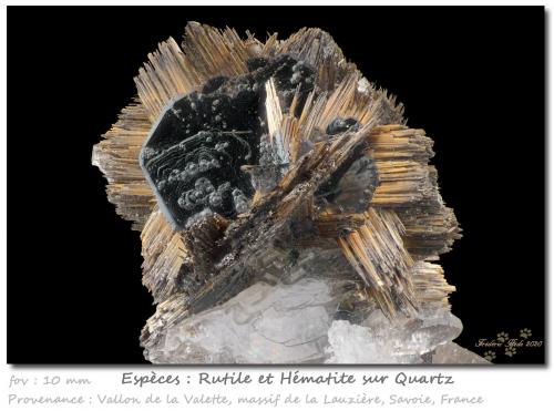 Rutile and Hematite<br />Grand Pic de la Lauzière, La Lauzière Massif, Saint-Jean-de-Maurienne, Savoie, Auvergne-Rhône-Alpes, France<br />fov 10 mm<br /> (Author: ploum)