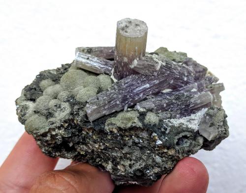 Fluorapatito, Moscovita, Clorita<br />Minas da Panasqueira, nivel 0, Aldeia de São Francisco de Assis, Covilhã, Castelo Branco, Cova da Beira, Centro, Portugal<br />7,7 x 5,8 cm.<br /> (Autor: Carles)
