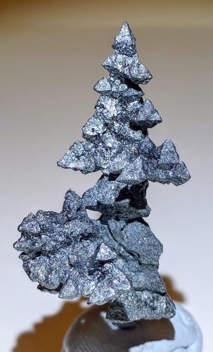 Acanthita (Acantita)<br />Imiter Mine, Jebel Saghro, Imiter District, Tinghir Province, Drâa-Tafilalet Region, Morocco<br />2,2 x 5,8 cm.<br /> (Autor: Carles)