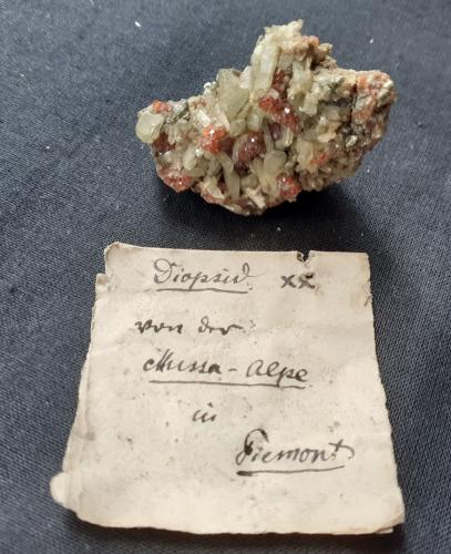 Diopside, Grossular<br />Mussa Alp, Balme, Val d'Ala, Lanzo Valleys (Valli di Lanzo), Metropolitan City of Turin Province, Piedmont (Piemonte), Italy<br />3,5 x 2,5 cm<br /> (Author: Volkmar Stingl)
