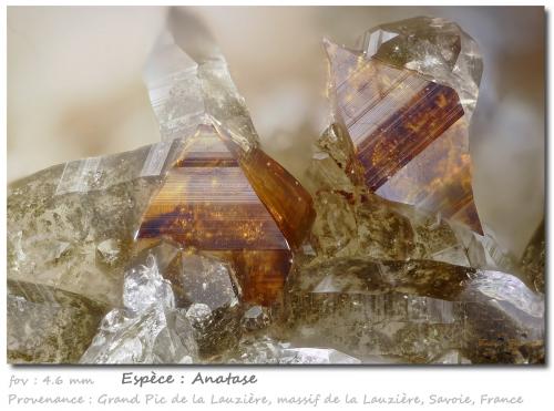 Anatase<br />Grand Pic de la Lauzière, Macizo La Lauzière, Saint-Jean-de-Maurienne, Saboya, Auvergne-Rhône-Alpes, Francia<br />fov 4.6 mm<br /> (Author: ploum)