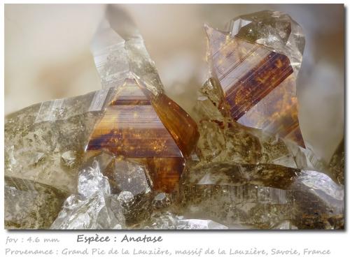 Anatase<br />Grand Pic de la Lauzière, La Lauzière Massif, Saint-Jean-de-Maurienne, Savoie, Auvergne-Rhône-Alpes, France<br />fov 4.6 mm<br /> (Author: ploum)