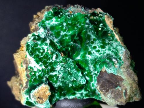 Malachite<br />Campiglia Marittima, Campigliese, Livorno Province, Toscana, Italy<br />41 x 28 mm<br /> (Author: Sante Celiberti)