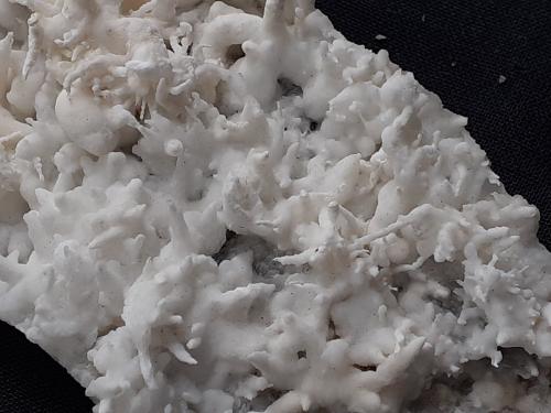 Aragonite (variety flos ferri)<br />Dienten am Hochkönig, Zell am See District, Salzburg, Austria<br />11 x 4,5 cm<br /> (Author: Volkmar Stingl)