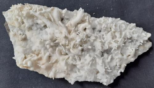 Aragonite (variety flos ferri)<br />Dienten am Hochkönig, Zell am See District, Salzburg, Austria<br />11 x 4,5 cm<br /> (Author: Volkmar Stingl)