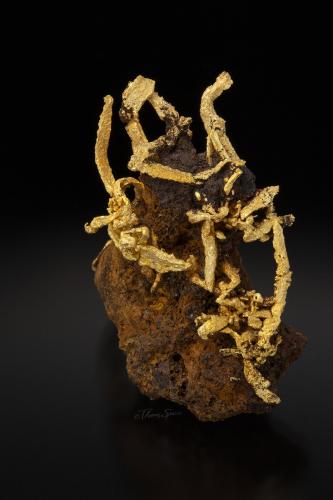 Gold (variety wire gold)<br />Wire Patch Mine, Farncomb Hill, French Gulch, Breckenridge, Breckenridge District, Summit County, Colorado, USA<br />36 mm<br /> (Author: Gail)