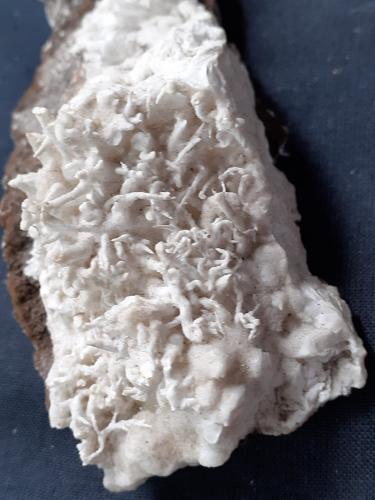 Aragonite (variety flos ferri)<br />Hesse/Hessen, Germany<br />10 x 4 cm<br /> (Author: Volkmar Stingl)