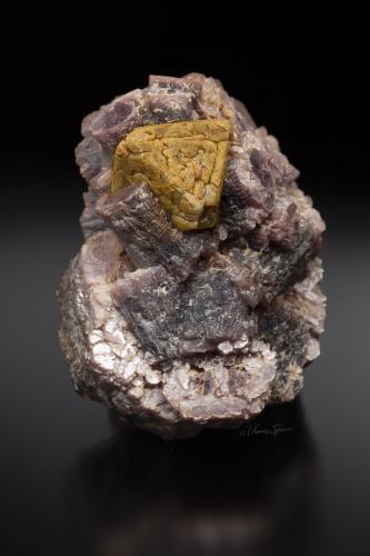 Microlite on Mica (variety lepidolite)<br />Xanda Mine, Virgem da Lapa, Vale do Jequitinhonha, Minas Gerais, Brazil<br />pending<br /> (Author: Gail)