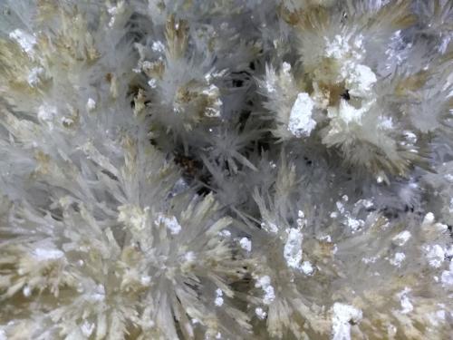 Aragonite, Kaolinite<br />Mina La Selva, Casal di Pari, Civitella-Paganico, Provincia Grosseto, Toscana, Italia<br />18 x 12 cm<br /> (Author: Sante Celiberti)
