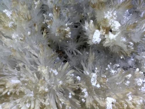 Aragonite, Kaolinite<br />La Selva Mine, Casal di Pari, Civitella-Paganico, Grosseto Province, Tuscany, Italy<br />18 x 12 cm<br /> (Author: Sante Celiberti)