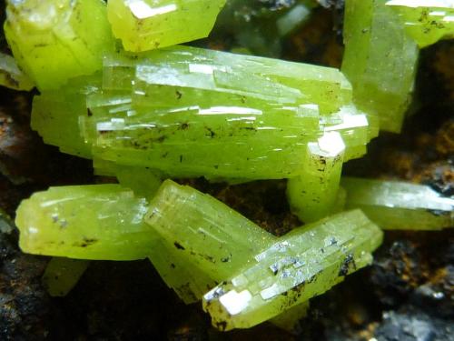 Piromorfita<br />Resuperferolítica claim, Cerro de la Canaleja, Santa Eufemia, Comarca Los Pedroches, Córdoba, Andalusia, Spain<br />Cristal mayor 1 cm.<br /> (Autor: javier ruiz martin)