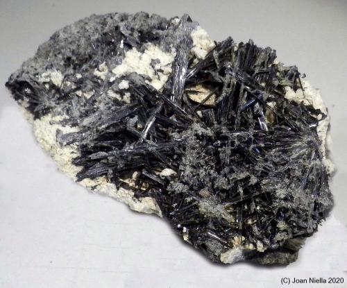 Hornblenda<br />Cantera Minera I, Cerro de los Serranos, Lebrija, Comarca Bajo Guadalquivir, Sevilla, Andalucía, España<br />8 x 4 cm<br /> (Autor: Joan Niella)