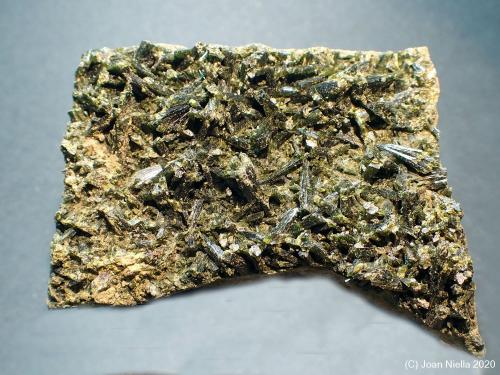 Epidota<br />Adons, El Pont de Suert, Comarca Alta Ribagorza, Lérida / Lleida, Cataluña / Catalunya, España<br />5 x 4 cm<br /> (Autor: Joan Niella)