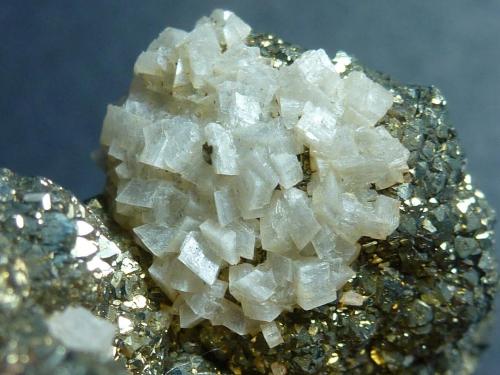 Pirita, Dolomita<br />Reocín Mine, Reocín, Comarca Saja-Nansa, Cantabria, Spain<br />7,5 x 4,5 cm.<br /> (Autor: javier ruiz martin)