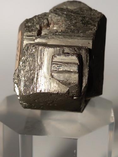 Pyrite<br />Gavorrano Mine, Gavorrano, Grosseto Province, Tuscany, Italy<br />43,6 x 36 mm<br /> (Author: Sante Celiberti)