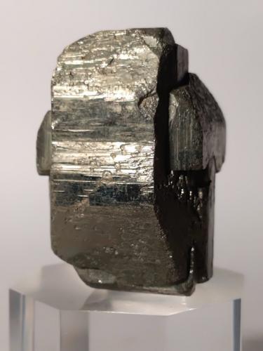 Pyrite<br />Gavorrano Mine, Gavorrano, Grosseto Province, Tuscany, Italy<br />43,6 x 36 mm<br /> (Author: Sante Celiberti)