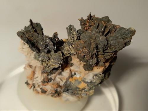 Pyrrhotite, Pyrite<br />Mina Niccioleta, Massa Marittima, Provincia Grosseto, Toscana, Italia<br />45 x 40 mm<br /> (Author: Sante Celiberti)