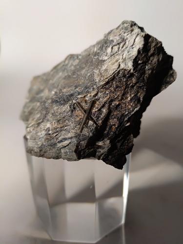 Arsenopyrite<br />Monte Arsiccio Mine, Sant'Anna (Sant'Anna di Stazzema), Apuan Alps, Stazzema Municipality, Lucca Province, Tuscany, Italy<br />56 x 55 mm<br /> (Author: Sante Celiberti)