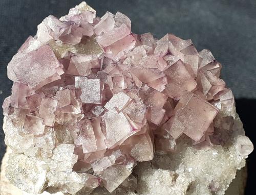 Fluorite<br />Highway #17 roadcut, Rossport, Thunder Bay District, Ontario, Canada<br />4 x 3 cm<br /> (Author: Volkmar Stingl)