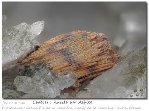 Rutile<br />Grand Pic de la Lauzière, La Lauzière Massif, Saint-Jean-de-Maurienne, Savoie, Auvergne-Rhône-Alpes, France<br />fov 4.6 mm<br /> (Author: ploum)