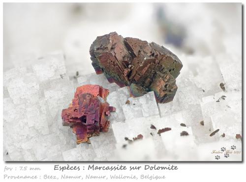 Marcasite and Dolomite<br />Beez, Namur District, Namur Province, Wallonia, Belgium<br />fov 7.5 mm<br /> (Author: ploum)