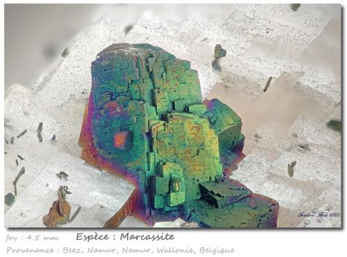 Marcasite and Dolomite<br />Beez, Namur District, Namur Province, Wallonia, Belgium<br />fov 4.5 mm<br /> (Author: ploum)