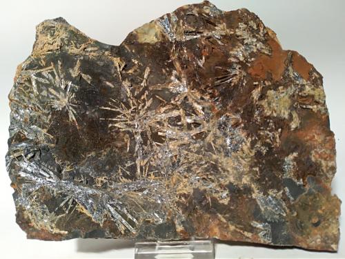 Stibnite, Stibiconite<br />Micciano, Pomarance, Pisa Province, Tuscany, Italy<br />16,5 x 13 mm<br /> (Author: Sante Celiberti)