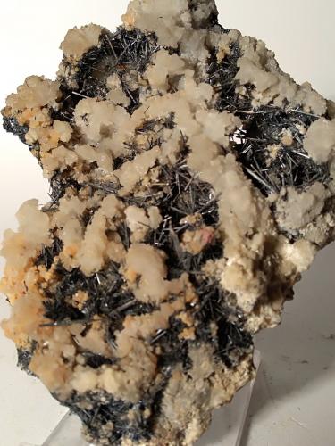 Stibnite, Quartz<br />Le Cetine di Cotorniano Mine (Le Cetine Mine), Chiusdino, Siena Province, Tuscany, Italy<br />11,5 x 8 cm<br /> (Author: Sante Celiberti)
