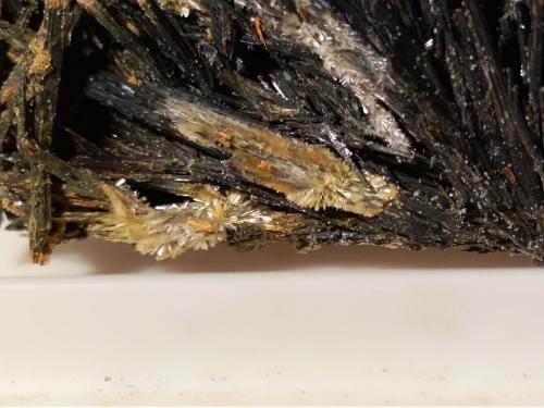 Stibnite, Klebelsbergite<br />Mina Niccioleta, Massa Marittima, Provincia Grosseto, Toscana, Italia<br />47 x 35 mm<br /> (Author: Sante Celiberti)