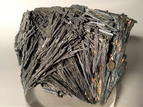 Stibnite<br />Mina Gavorrano, Gavorrano, Provincia Grosseto, Toscana, Italia<br />68,8 x 58,8 mm<br /> (Author: Sante Celiberti)