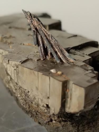 Stibnite on Pyrite<br />Niccioleta Mine, Massa Marittima, Grosseto Province, Tuscany, Italy<br />59 x 31 mm<br /> (Author: Sante Celiberti)