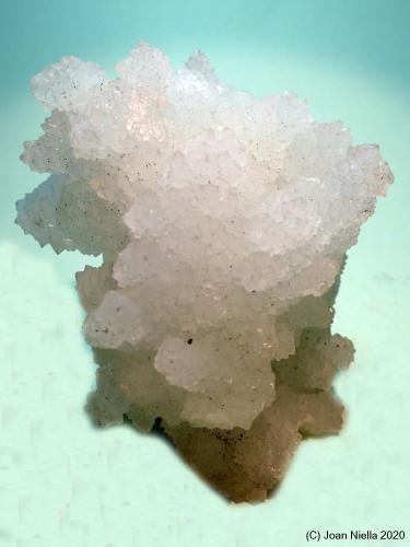 Prehnita<br />Distrito Nashik (Nasik), Maharashtra, India<br />65 x 50 mm<br /> (Autor: Joan Niella)