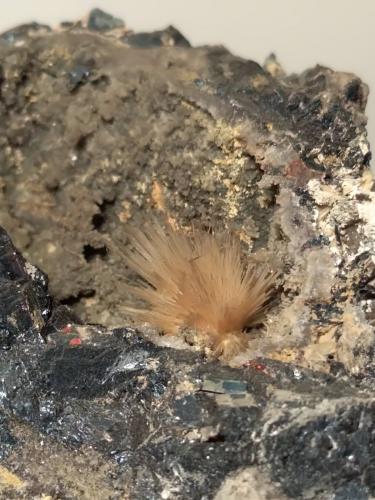 Klebelsbergite on Stibnite<br />Mina Pereta, Pereta, Magliano in Toscana, Provincia Grosseto, Toscana, Italia<br />83 x 63 mm<br /> (Author: Sante Celiberti)