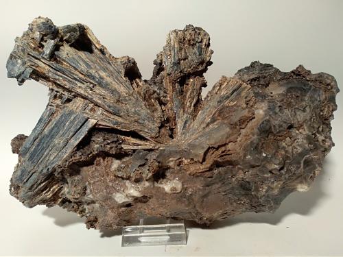 Stibnite<br />Pereta Mine, Pereta, Magliano in Toscana, Grosseto Province, Toscana, Italy<br />22 x 14 cm<br /> (Author: Sante Celiberti)