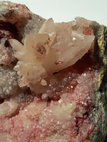 Metastibnite, Quartz<br />Mina Pereta, Pereta, Magliano in Toscana, Provincia Grosseto, Toscana, Italia<br />80 x 70 mm<br /> (Author: Sante Celiberti)