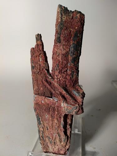 Metastibnite on Stibnite<br />Mina Pereta, Pereta, Magliano in Toscana, Provincia Grosseto, Toscana, Italia<br />12 x 5 cm<br /> (Author: Sante Celiberti)