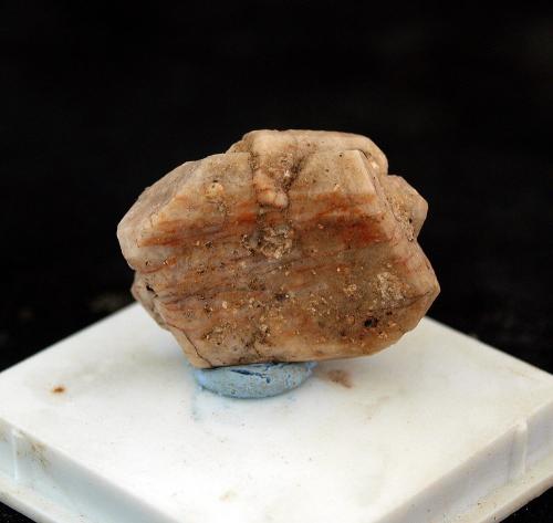 Ortoclasa<br />Zarzalejo, Comarca Sierra Oeste, Comunidad de Madrid, España<br />2.5 x 2 cm<br /> (Autor: Pedro Antonio)