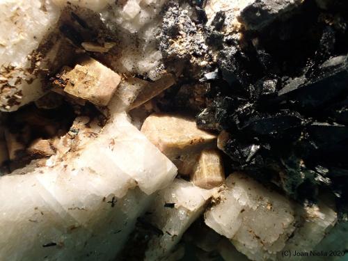 Zircón<br />Mount Malosa, Zomba District, Malawi<br />CV 2 x 1 cm<br /> (Autor: Joan Niella)