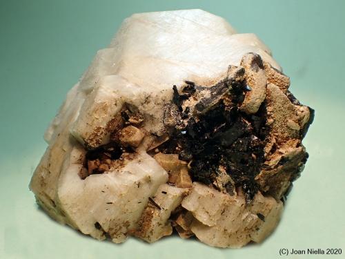 Zircón<br />Mount Malosa, Zomba District, Malawi<br />6 x 5 cm<br /> (Autor: Joan Niella)