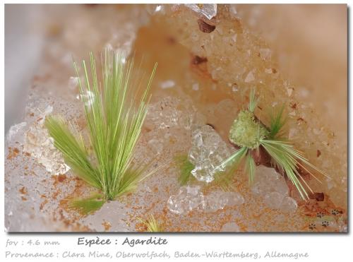 Agardite<br />Clara Mine, Rankach Valley, Oberwolfach, Wolfach, Black Forest, Baden-Württemberg, Germany<br />fov 4.6 mm<br /> (Author: ploum)