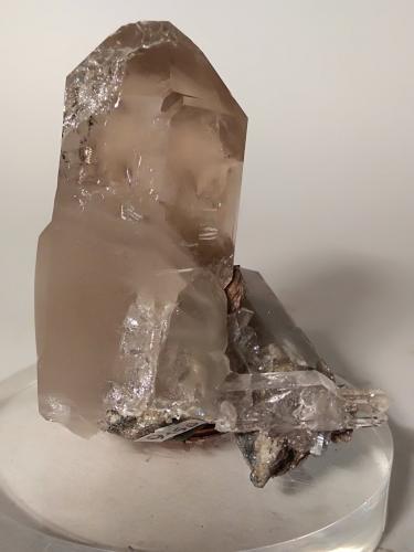 Quartz (variety smoky)<br />Sant'Anna (Sant'Anna di Stazzema), Apuan Alps, Stazzema Municipality, Lucca Province, Tuscany, Italy<br />55 x 46 mm<br /> (Author: Sante Celiberti)