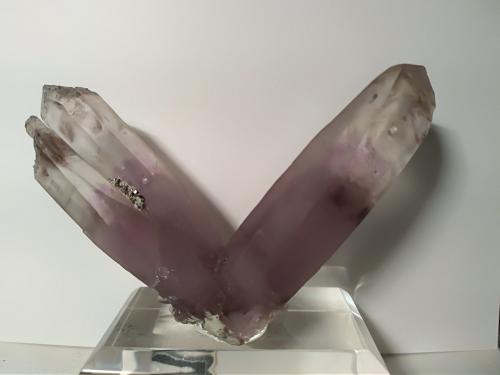 Quartz (variety amethyst), Pyrite<br />Zona mina Gavorrano, Gavorrano, Provincia Grosseto, Toscana, Italia<br />72,6 x 49 mm<br /> (Author: Sante Celiberti)