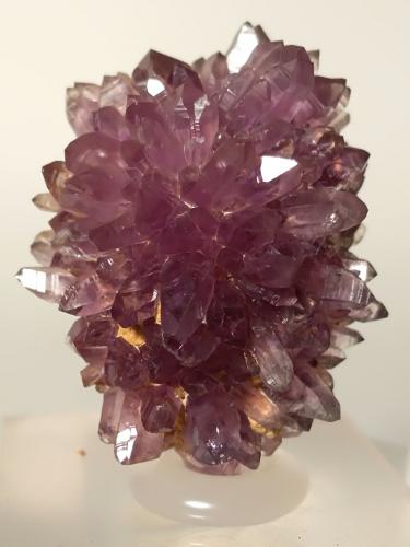 Quartz (variety amethyst)<br />Vetulonia, Castiglione della Pescaia, Grosseto Province, Tuscany, Italy<br />35 x 25 mm<br /> (Author: Sante Celiberti)