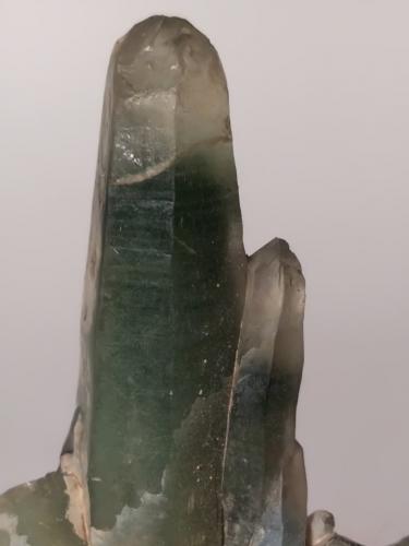 Quartz (variety prase)<br />Porticciolo, Rio Marina, Elba Island, Livorno Province, Tuscany, Italy<br />60 x 37 mm<br /> (Author: Sante Celiberti)